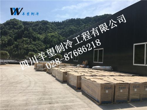 科技赋能农业 古蔺县源丰农业科技开发公司食用菌工厂化周年生产项目探析