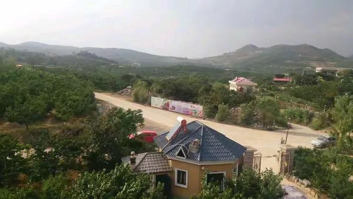 蔚之蓝秦皇岛农业科技开发 以科技之笔，绘就现代农业新画卷